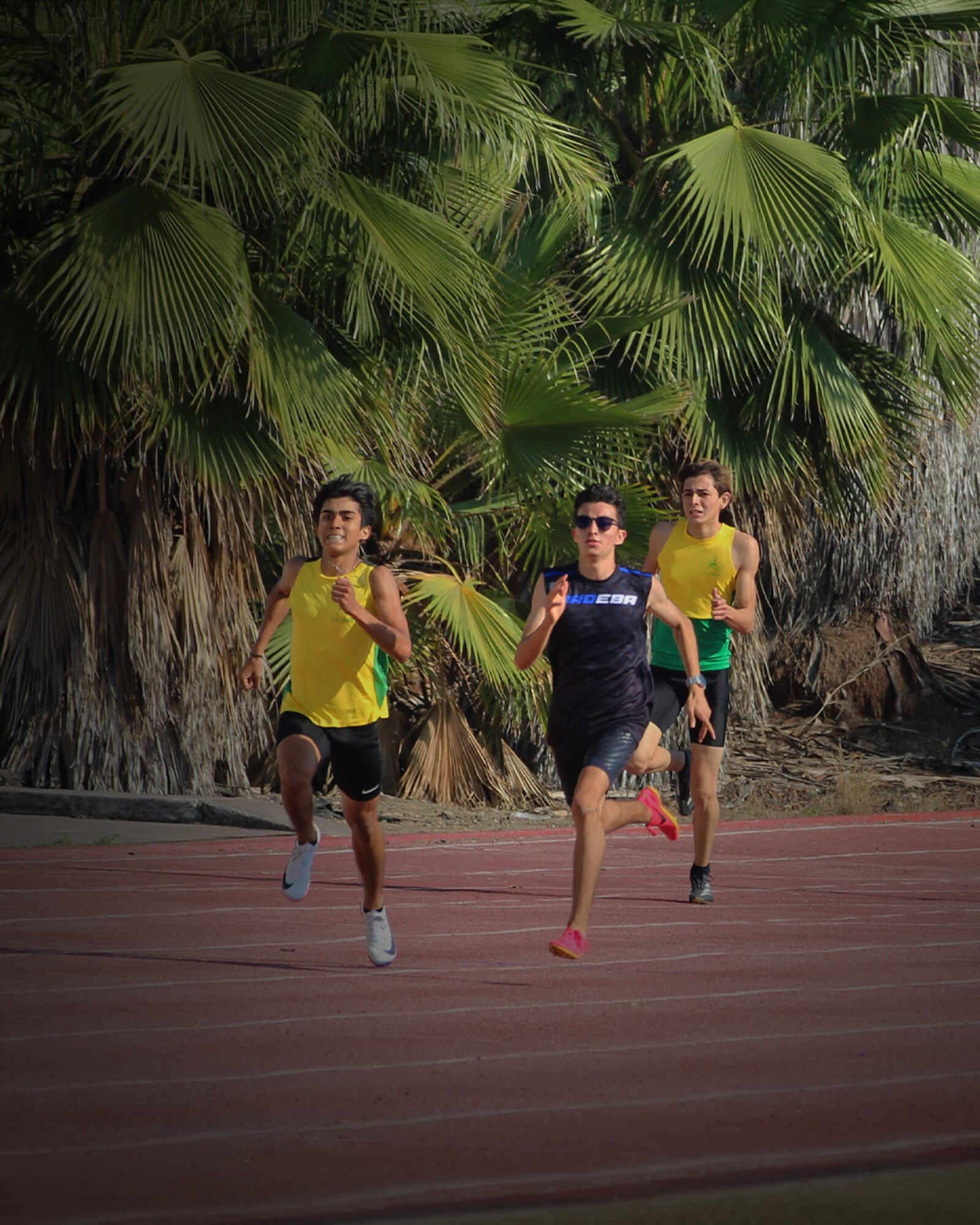 Runners training on a track lined with palms